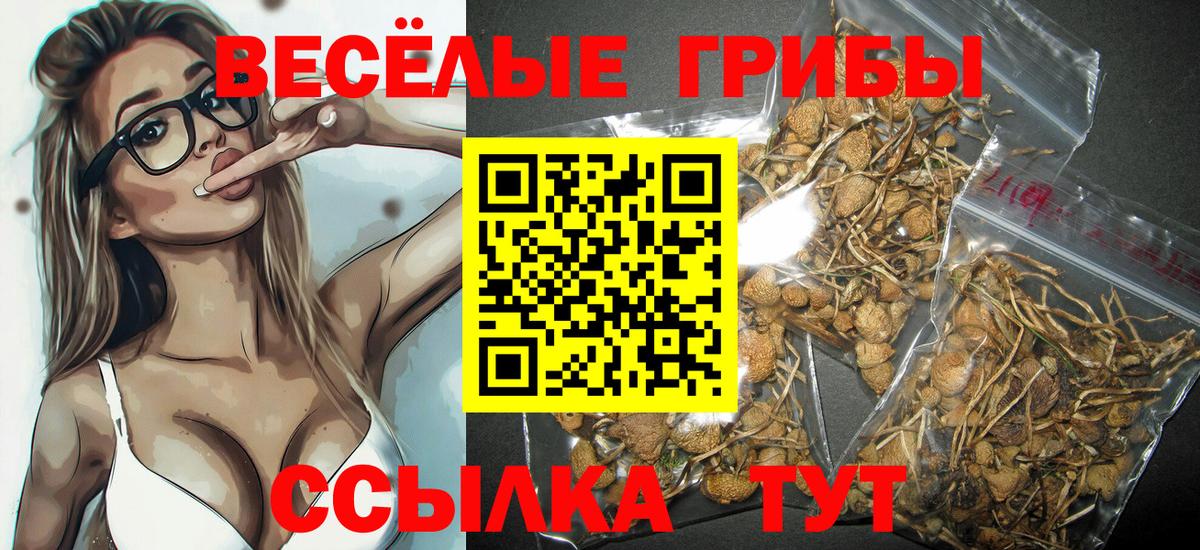 Галлюциногенные грибы прущие грибы Чайковский
