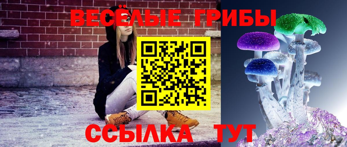 Чайковский  Галлюциногенные грибы Magic Shrooms  Галлюциногенные грибы ЛСД  Вход с VPN 